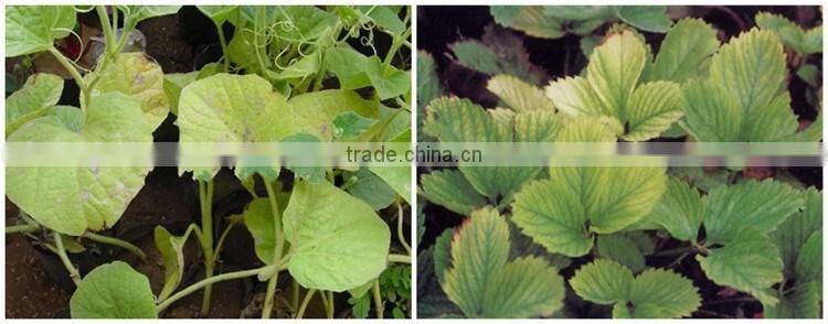 Huminrich Promote Metabolism And Cell Division Amino Acid Granules Form