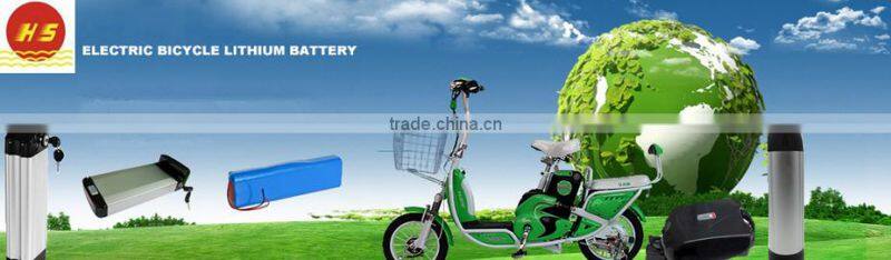 Portable Lithium Battery 48V 25AH Electric Bicycle 48V Lithium Battery with Samsung Cell