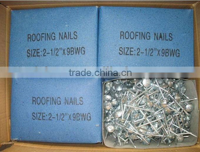 galvanied corrugated roofing nails factory