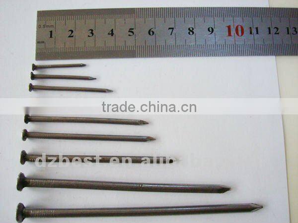 2.5 inch bright common round nails with flat head