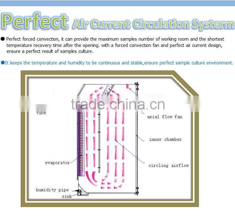 full-automatic illumination incubator laboratory bacteriological incubators for selli
