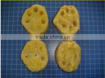 Japanese Food chicken meat and vegetables Tempura