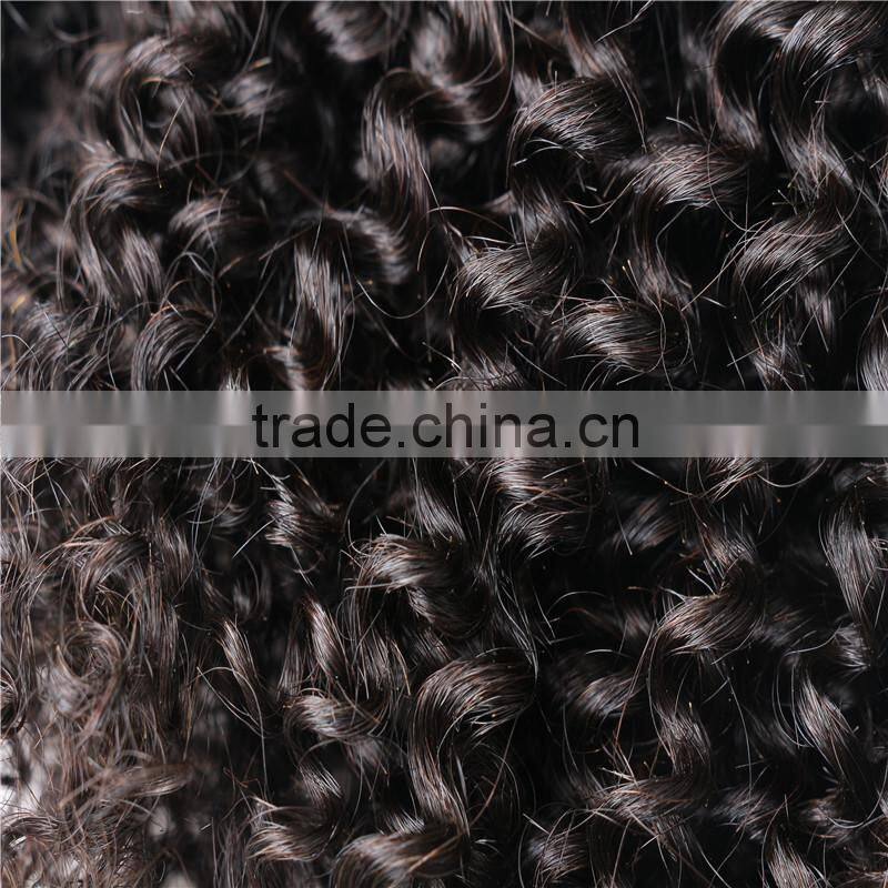 Grade 7A Malaysian Virgin Hair Water Wave 4pcs Lot Free Shipping Cheap Malaysian Curly hair 8"-30" Remy Human Hair Weave