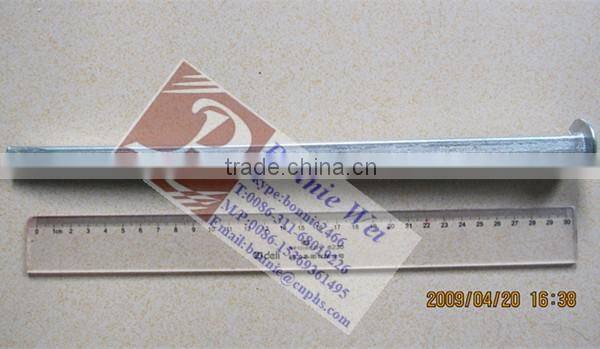 Extreme long 30cm shank big nail