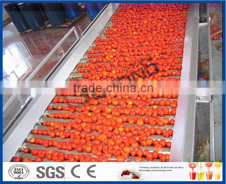 turnkey project of tomato ketchup production machinery