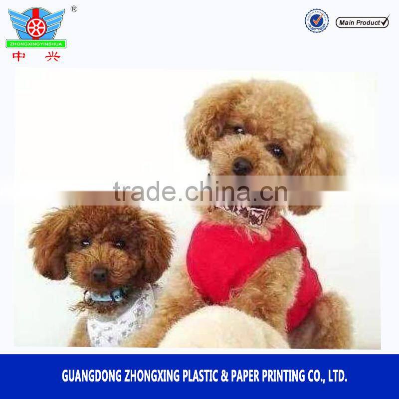 stand up pouch with zipper, pet food bag, PET treat bag