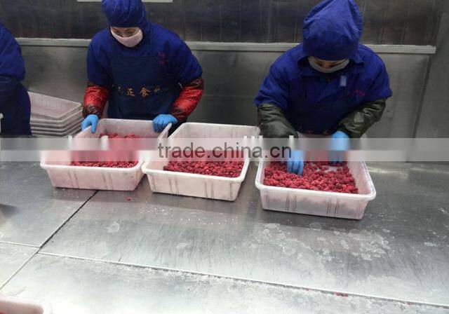 Frozen Raspberry