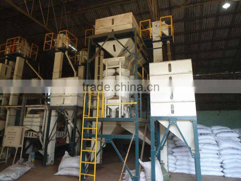 BLACK PEPPER FOR SELL