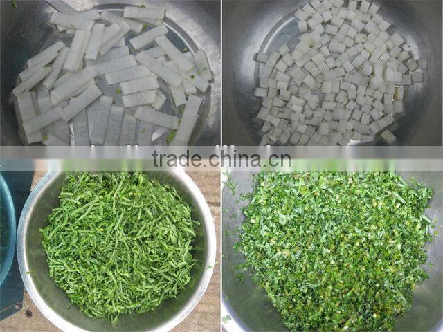 best quality Multi-function Vegetable cutter 0086-15838061756