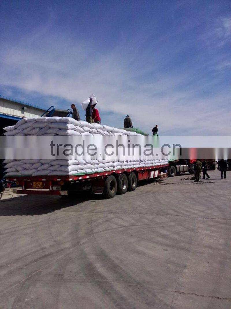 2014 black sunflower seeds 5009