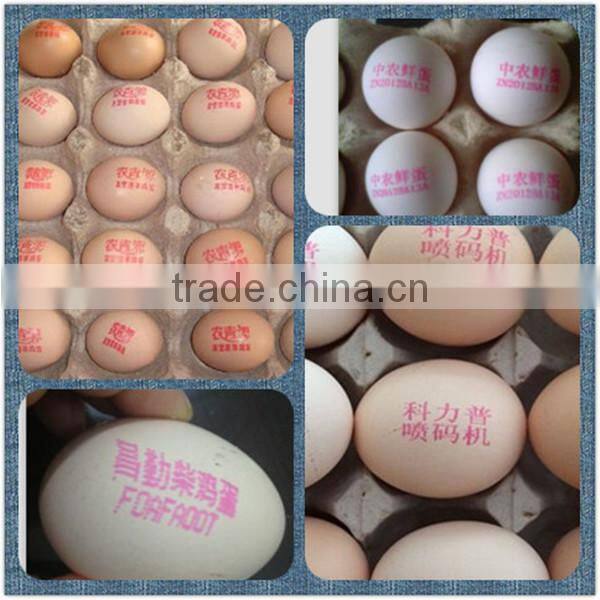 Hot Sale Automatic 1-8 lines date / code / number / logo Egg Print Machine