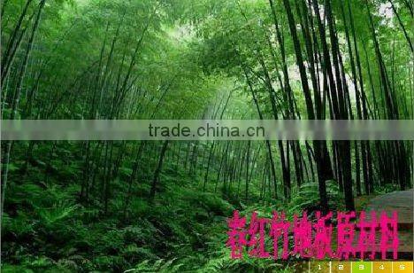Outdoor kitchen room Hard Bamboo Flooring with plastic