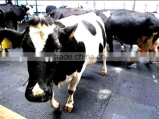 Interlocking pvc garage floor tile and mat