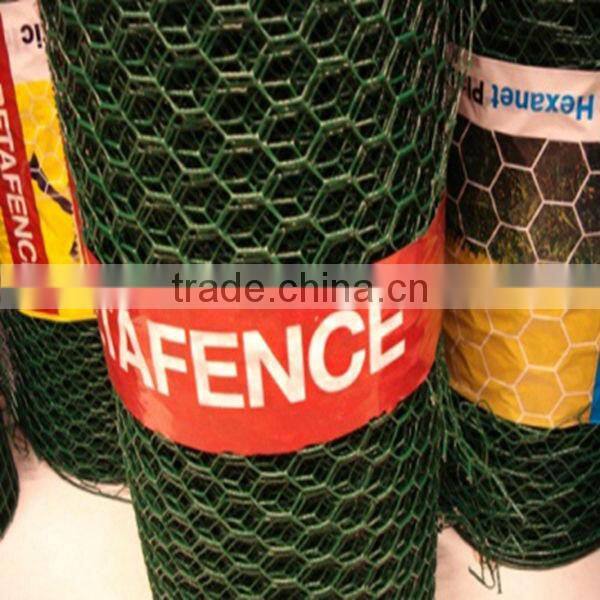 hexagonal electro-galvanized wire mesh