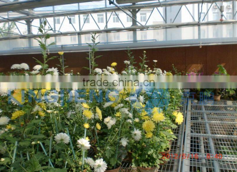 Agricultural Plastic Film Greenhouse With Arch Roof