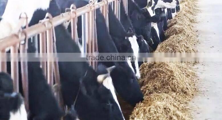 trailer type tmrfolding mixing feeder mixer wagon