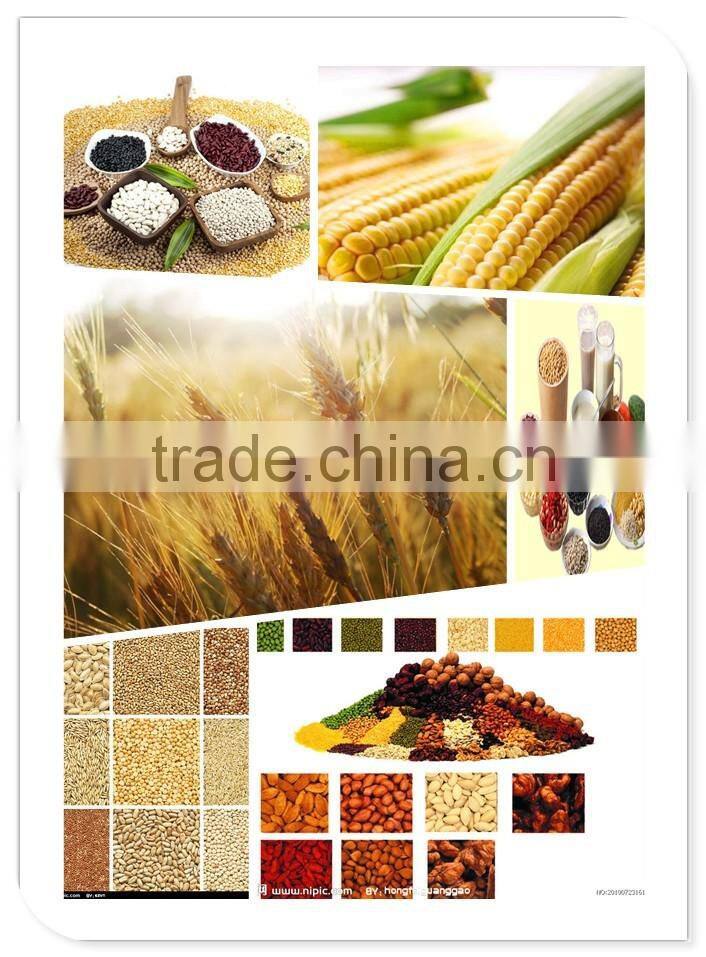 China professional manufacturer of wheat flour milling equipment with best price