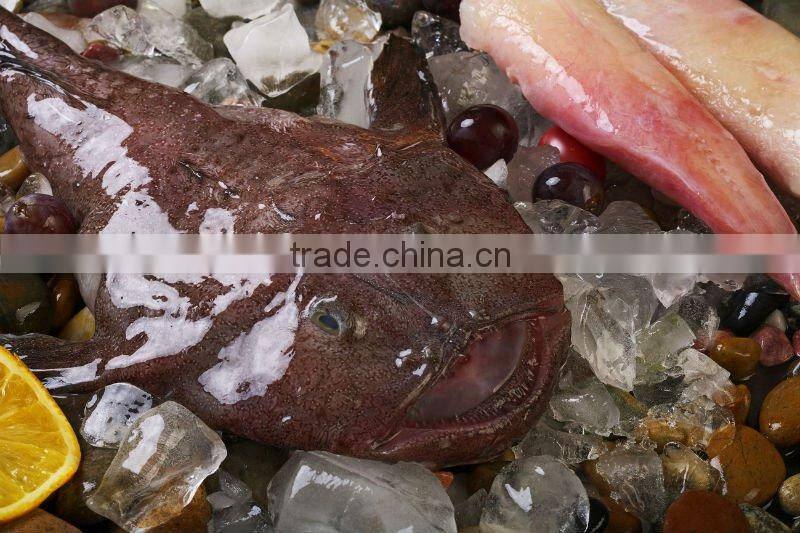 frozen fresh monkfish