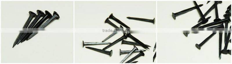 shoe nail