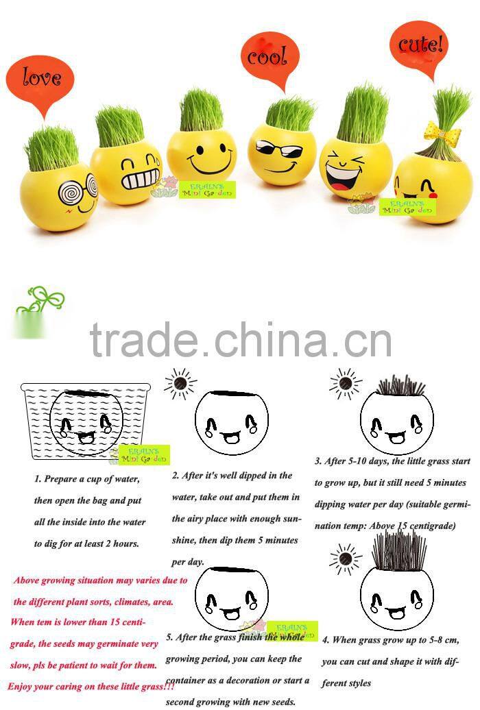 Mini Garden growing grass hair toy growing grass head toys 002-2(ceramic colour glaze)