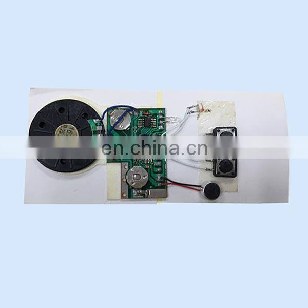 Customized recording voice chip/audio recording chip