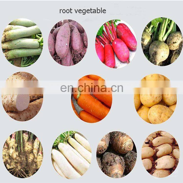 vegetables potato peeler industrial commercial carrot peeler brush potato cleaning machine