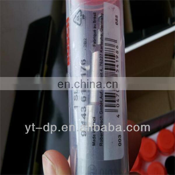 Fuel Injection Pump Spares Plunger and Barrel 2418450069 2418450108