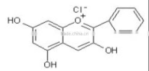 Bilberry P.E./Vaccinnium vitis-idaea L./cowberry extract /lingonberry extract / tangleberry extract/whortleberry extract /Vaccin
