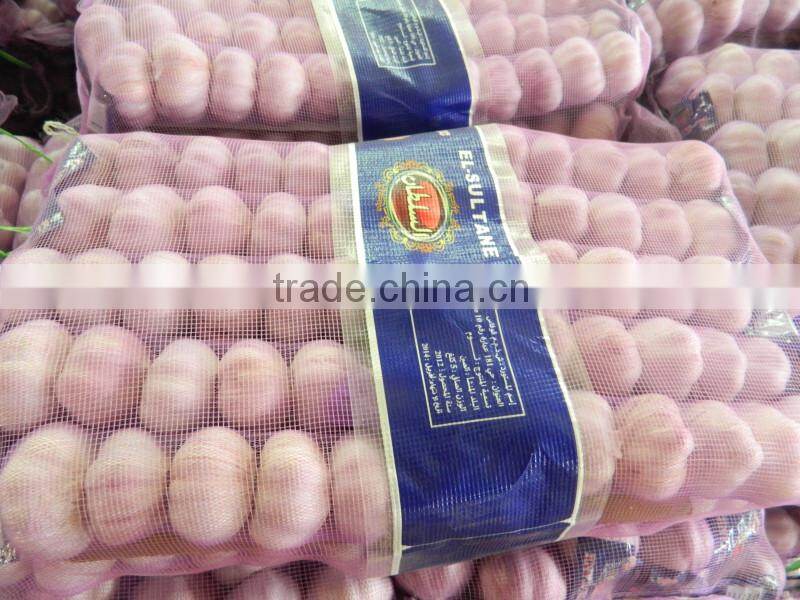 The Best Vegetable Product from China Fresh Garlic