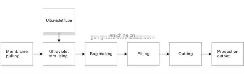 Automatic satchet water filling and sealing machine auto liquid bagging machinery in satchets cheap price for sale