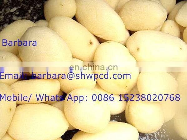 Factory supply Fruit vegetable cleaning drying machine / bubble washing machine