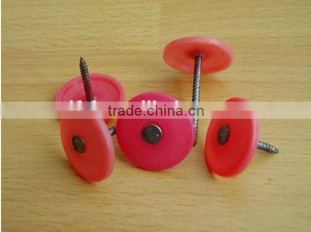High Quality Plastic Cap Nails for Roof Supplier