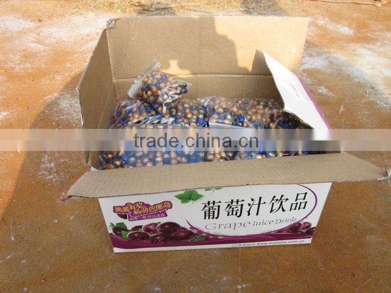 NOKIN More Convenient And More Beautiful Reflective Cat Eyes