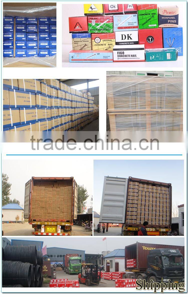 Cheap wholesale common nail concrete nails/ common nail for construction