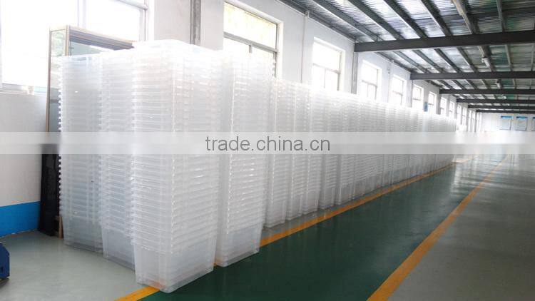 500 ml Fine Mist Plastic Spray Bottle