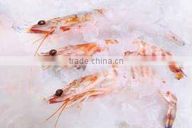 Fresh Flake Ice Maker For Ice Factory