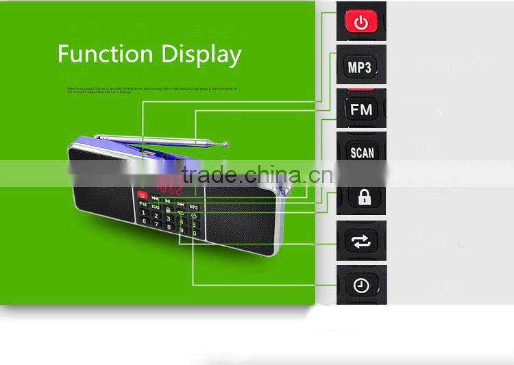 AM FM digital dual band mobile radio