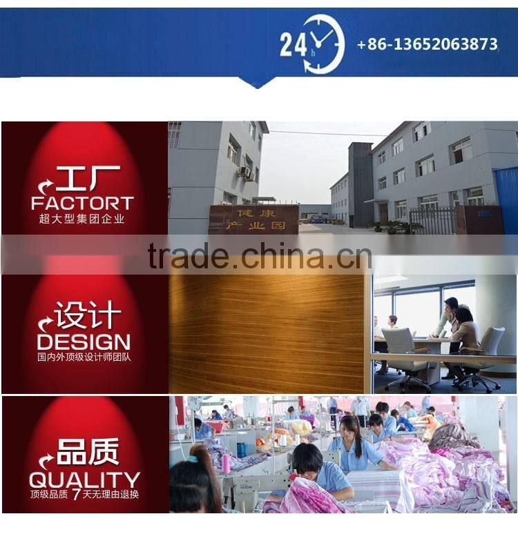 Comfortable Cheap Magnetic Pillow