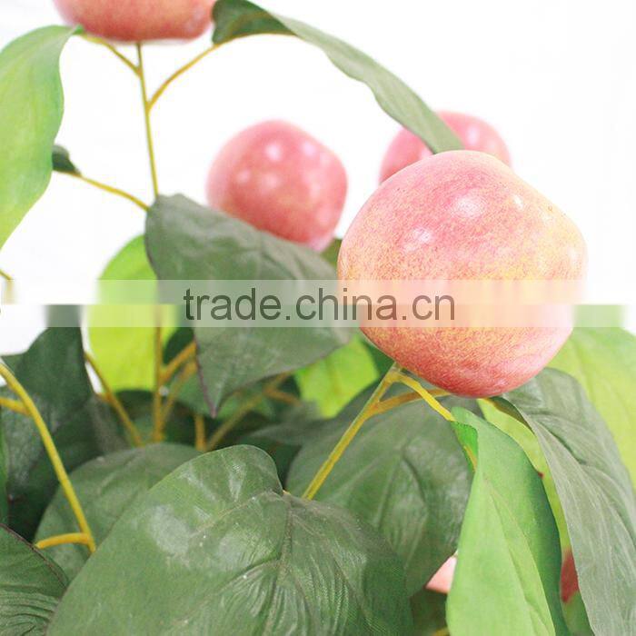 wholesale cheap apple fruit TREE