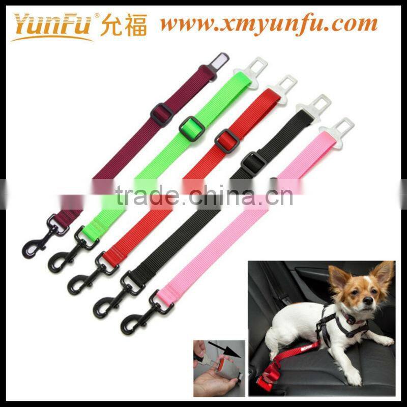 Sport pets leash personal dog collars