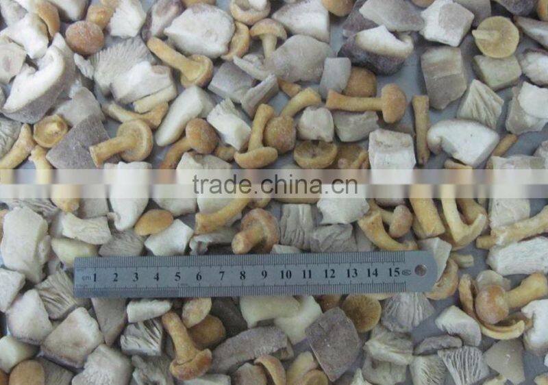 IQF Frozen Shiitake Mushroom Whole/Cuts/Slices