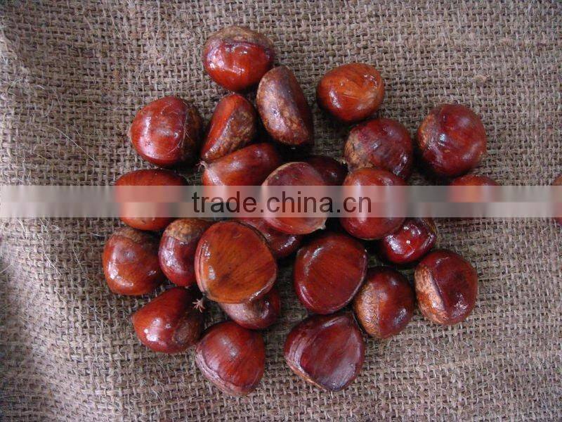 Sweet Chestnut Wholesales Price Shandong Crop and Dandong Crop