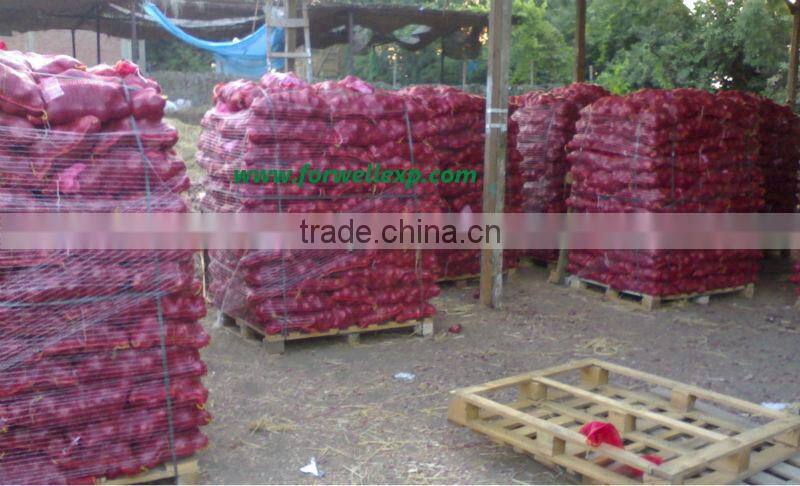 WHITE ONION CROPS 2015