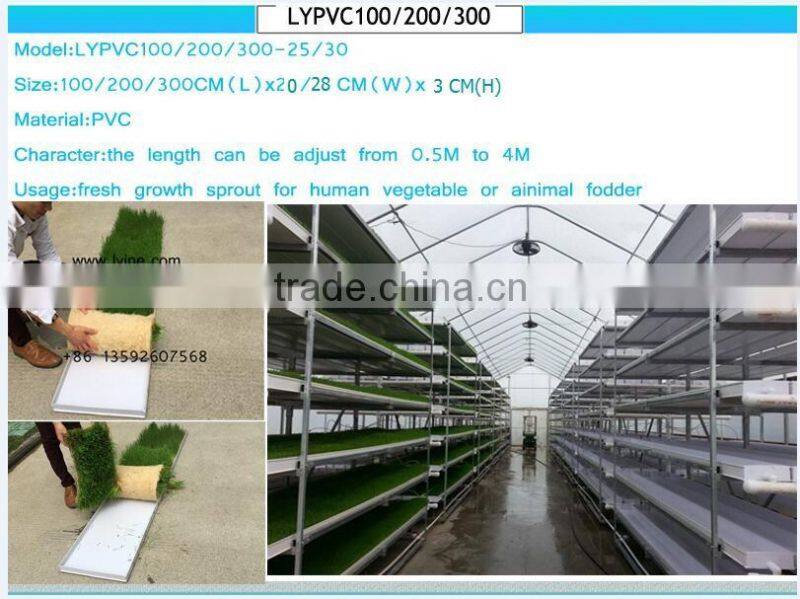 Large shallow tray for sale plastic plant seed tray