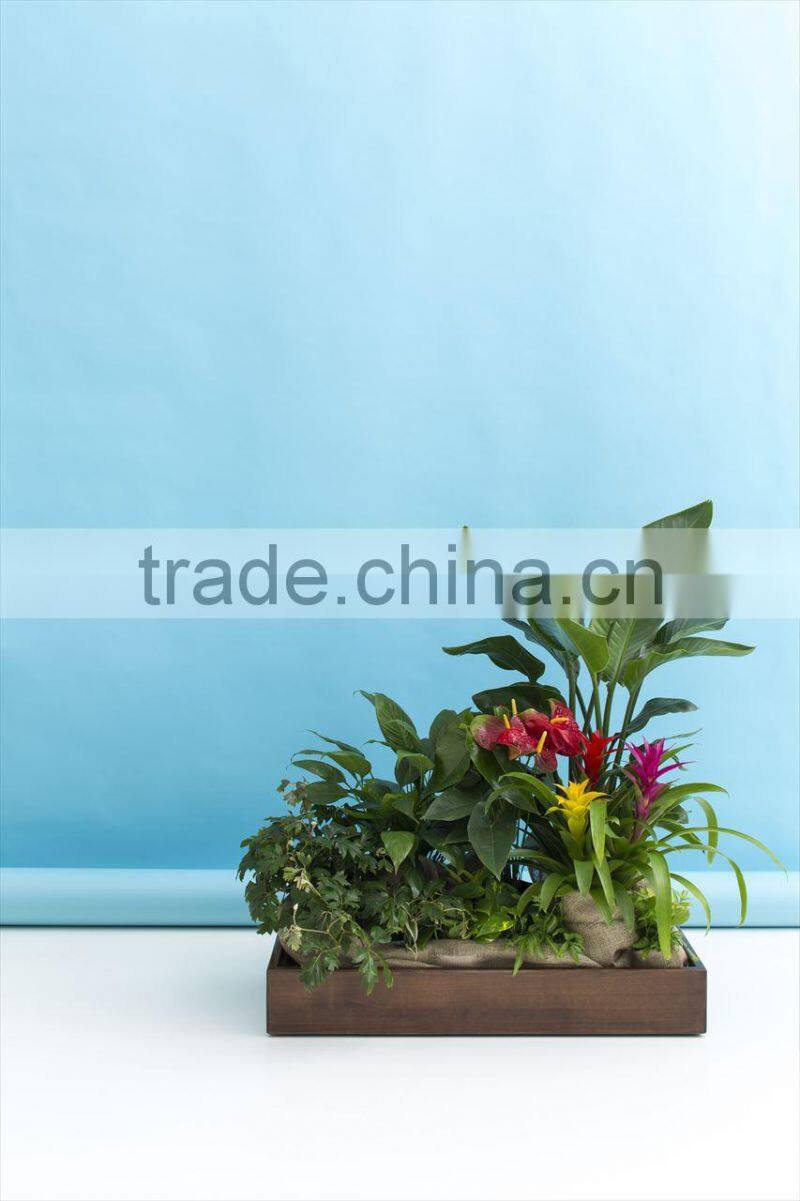 Perfect waterproofing large flower pots for Indoor Gardening