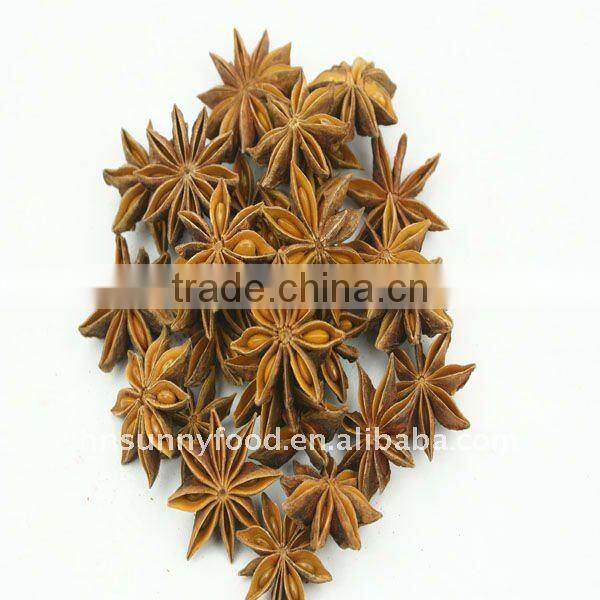Dehydrated Star aniseed