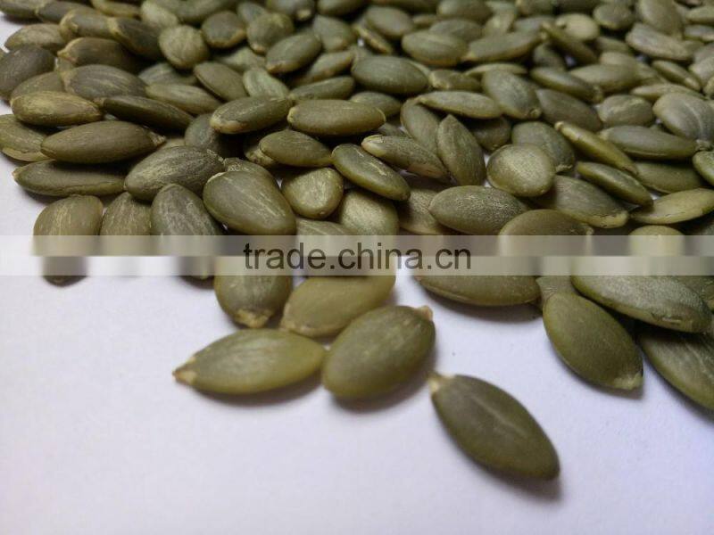 Pumpkin Seeds Kernels New Crop of 2016 AA