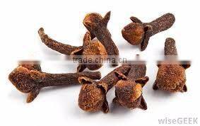 CLOVE BUD ESSENTIAL OIL