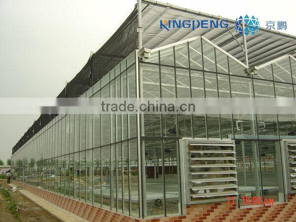 Multi Span Agricultural Greenhouse