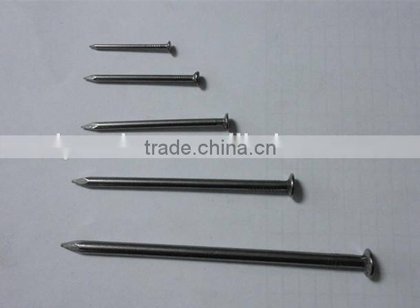 Common iron nail metal nails best price from china manufacturer